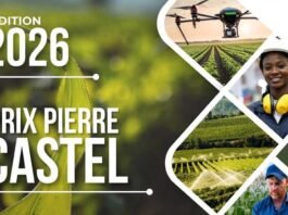 Prix Pierre Castel 2026 : Lancement de la 9e édition
