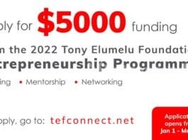 Fondation Tony Elumelu pour les Entrepreneurs Africain