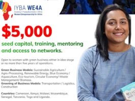 Investing in Young Business in Africa- Women Entrepreneurship for Africa