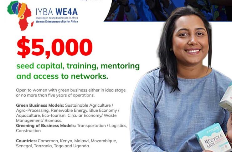 Investing in Young Business in Africa- Women Entrepreneurship for Africa