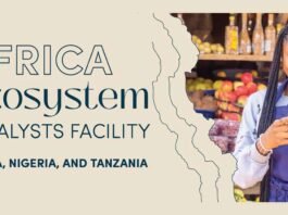 Africa Ecosystem Catalyst Facility, Village Capital