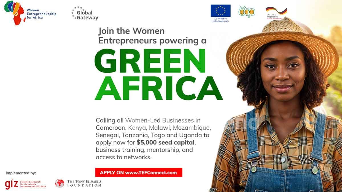 BEGREEN AFRICA Programme TEFConnect