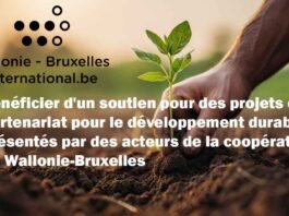 Appel à candidatures: Bénéficier d'un soutien pour des projets de partenariat pour le développement durable présentés par des acteurs de la coopération de Wallonie-Bruxelles