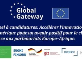 Appel à candidatures: Accélérer l’innovation numérique pour un avenir positif pour le climat grâce aux partenariats Europe–Afrique.
