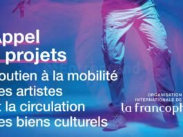 Appel à projets : Soutien à la mobilité des artistes et à la circulation des biens culturels