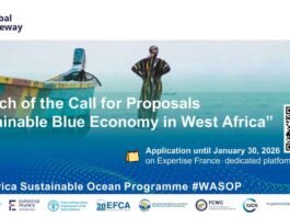 Le programme WASOP, financé par l’UE à 59 M€, soutient une économie bleue durable et inclusive en Afrique de l’Ouest, avec des projets jusqu’à 4 M€.
