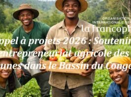 Appel à projets 2026 : Soutenir l’entrepreneuriat agricole des jeunes dans le Bassin du Congo